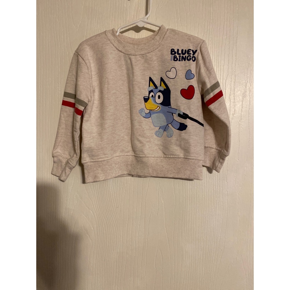 Bluey and Bingo Kids Oatmeal Heather Graphic Sweatshirt 2T 25T6743EY 0443